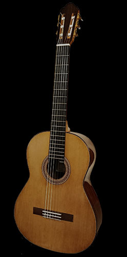 Marensis Guitars 1
